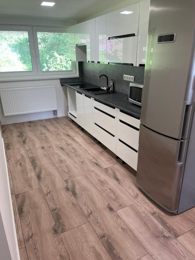 Apartmany Pod Chlumem Jeseník エクステリア 写真